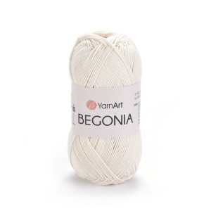 Begonia 6282