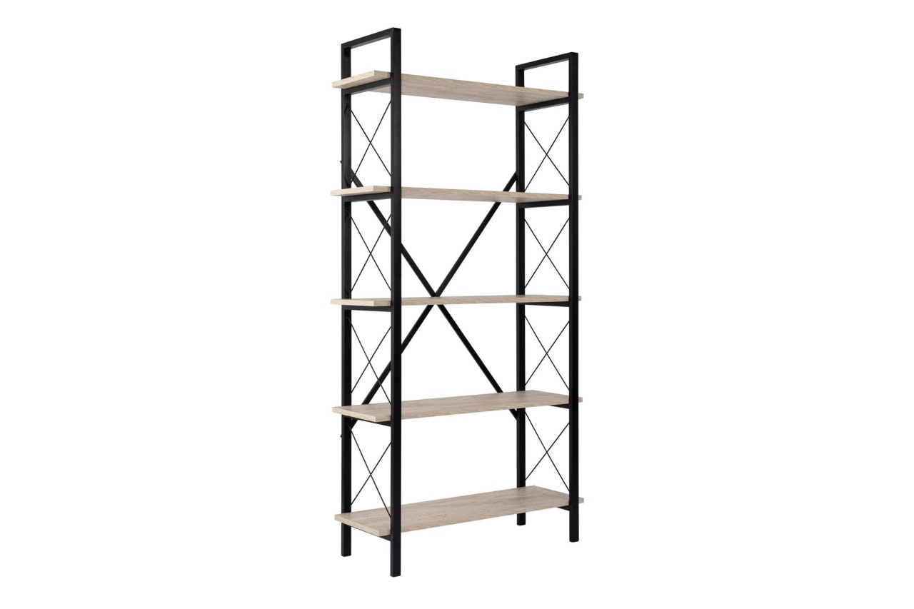 Biblioteca Elysian Negru - 4 | YEO