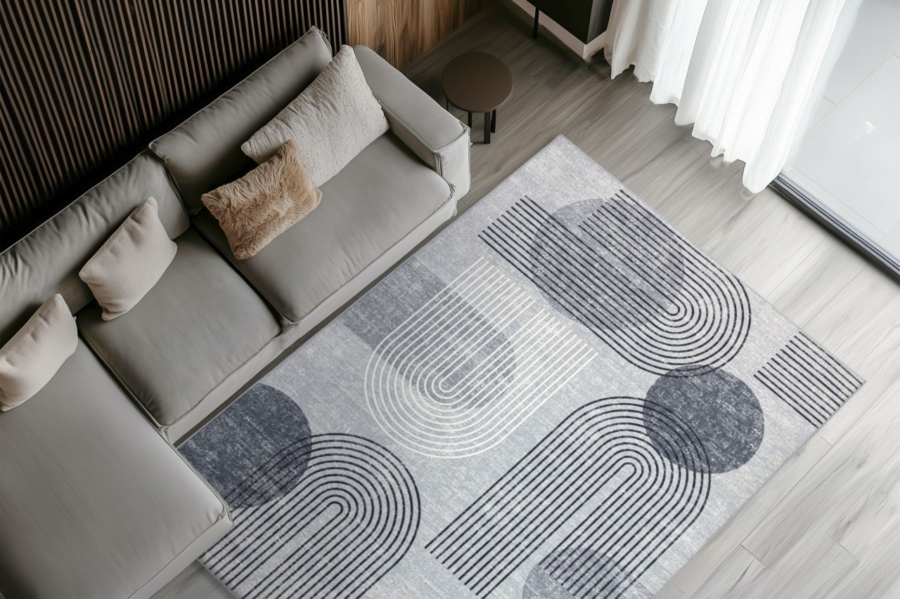 Covor Avantgarde Gri 200x290 cm - 3 | YEO