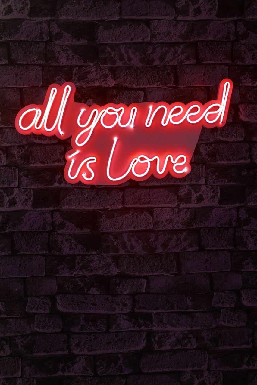 Decoratiune luminoasa LED de perete All You Need is Love Rosu 32x60x2 cm - 2 | YEO