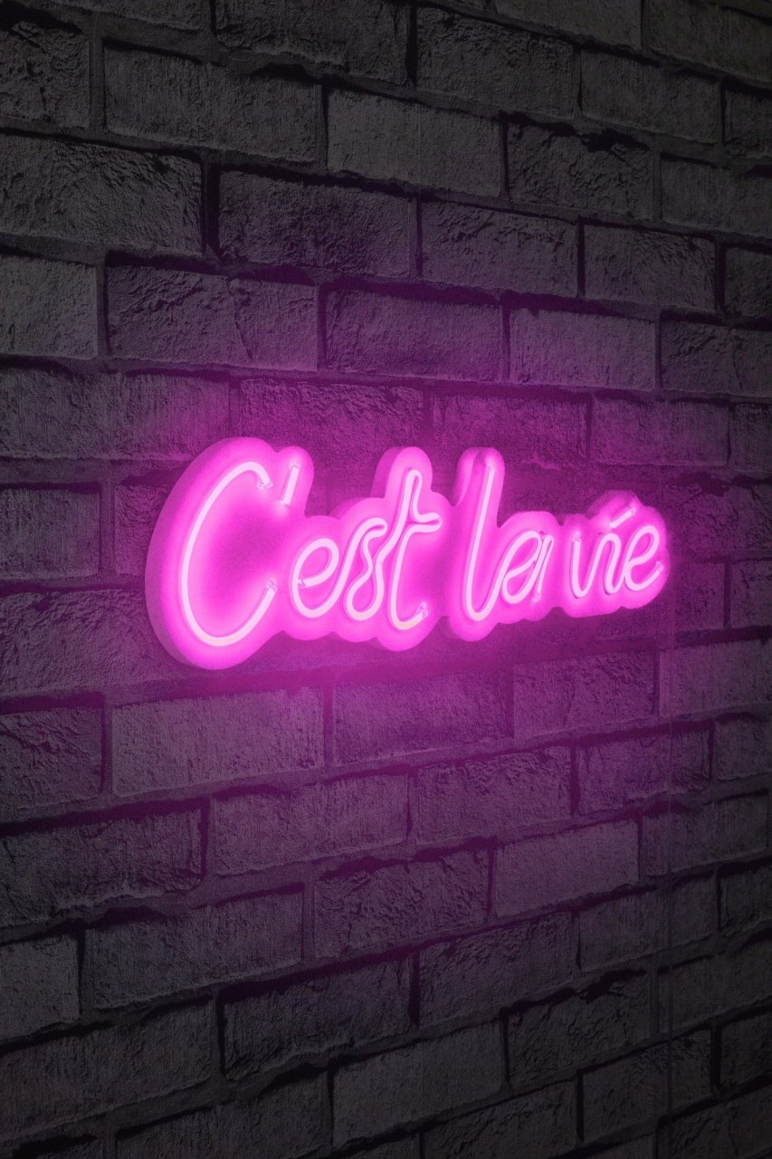 Decoratiune luminoasa LED de perete C\'est La Vie Roz 50x14x2 cm - 1 | YEO