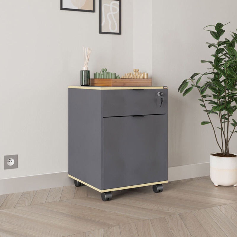 Dulap pentru birou Taker, Pako World, Antracit, 41x45x61 cm - 1 | YEO