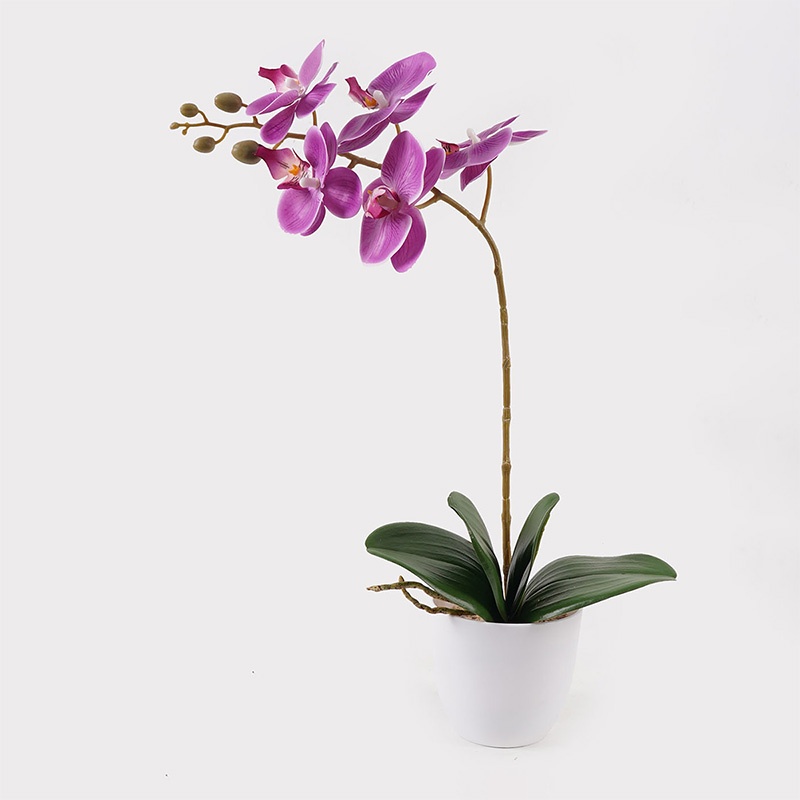 Planta decorativa cu ghiveci Orchid Mov 30x13x46 cm