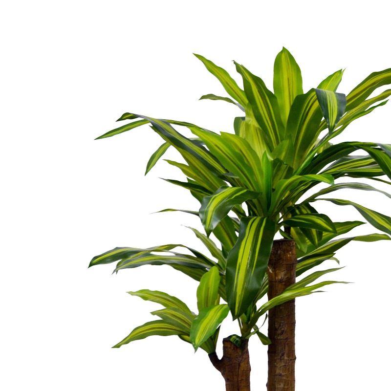 Planta decorativa Dracaena in ghiveci verde plastic PP H110 cm - 1 | YEO