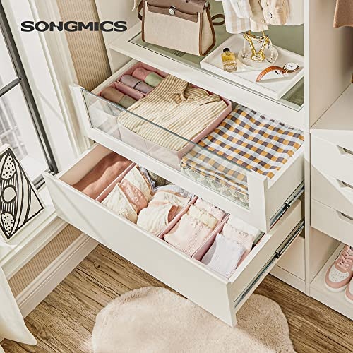 Set 6 organizatoare pentru sertare, Songmics, Roz, 28x28x13 cm