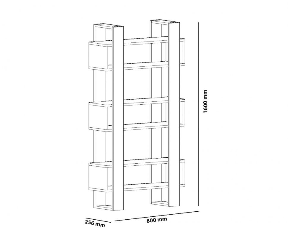 Biblioteca Carmen - 3 | YEO