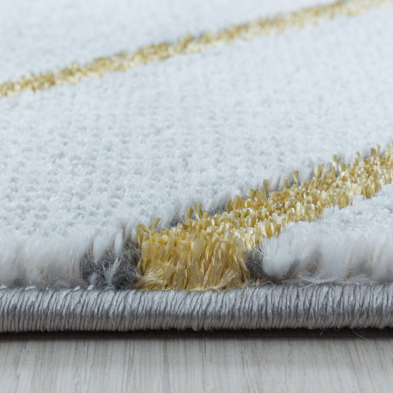 Covor Naxos Gold V1 120x170 cm - 4 | YEO