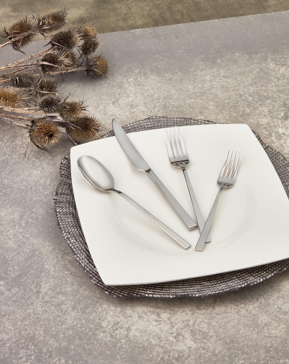 Set tacamuri 24 bucati Ware Argintiu 23x2 cm