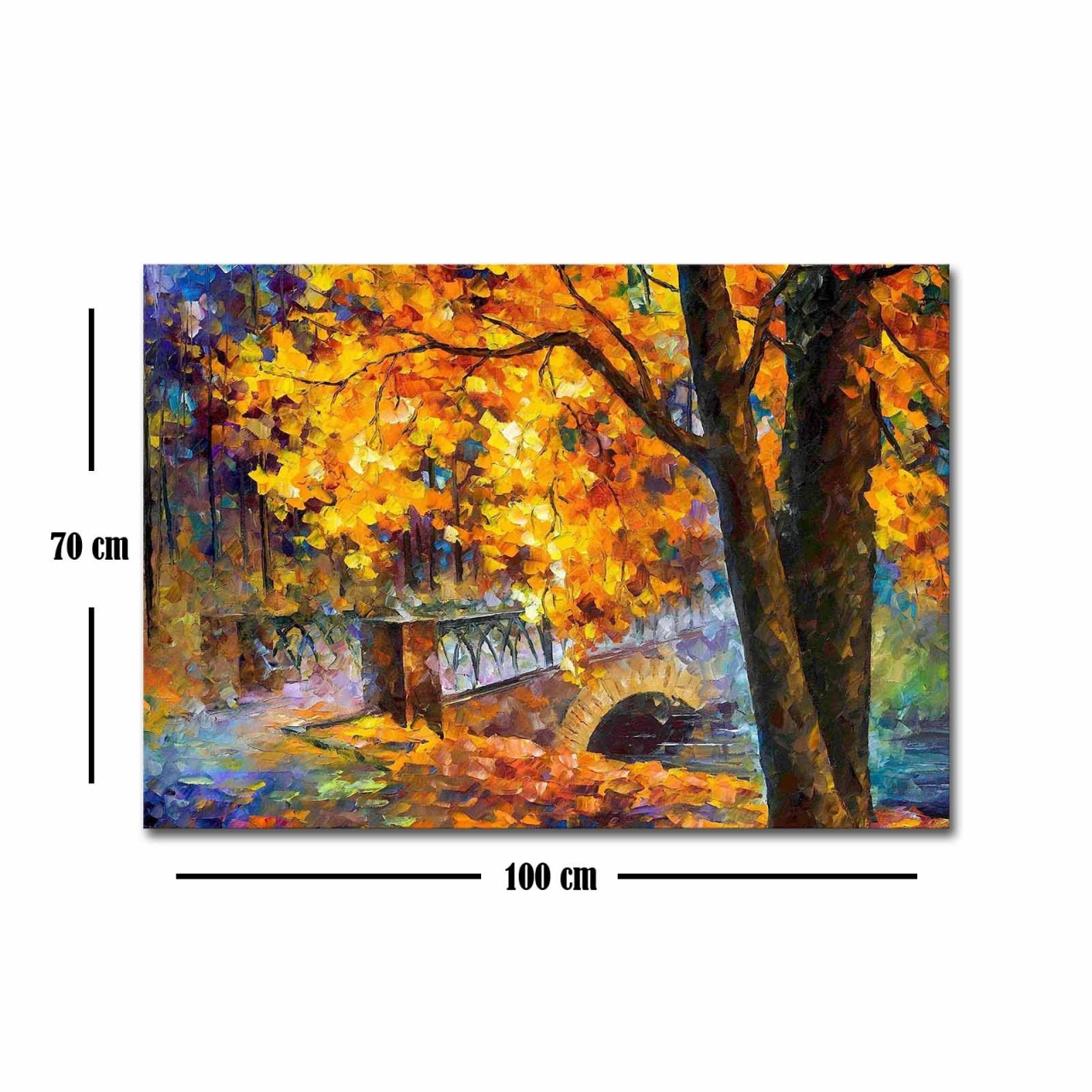 Tablou Rainbow Canvas Multicolor 70x100x3 cm