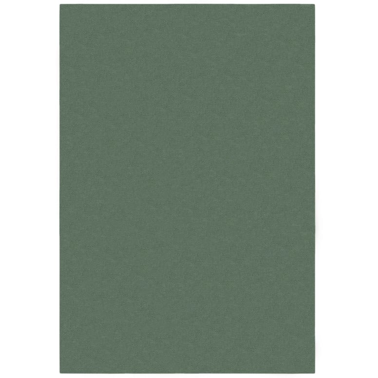 Covor Mellow Soft Verde 120X170 cm, Flair Rugs - 3 | YEO