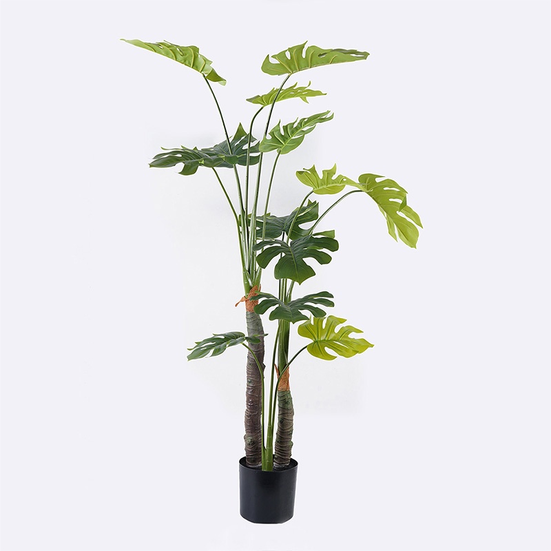 Planta decorativa cu ghiveci Deliciosa Verde 90x90x160 cm