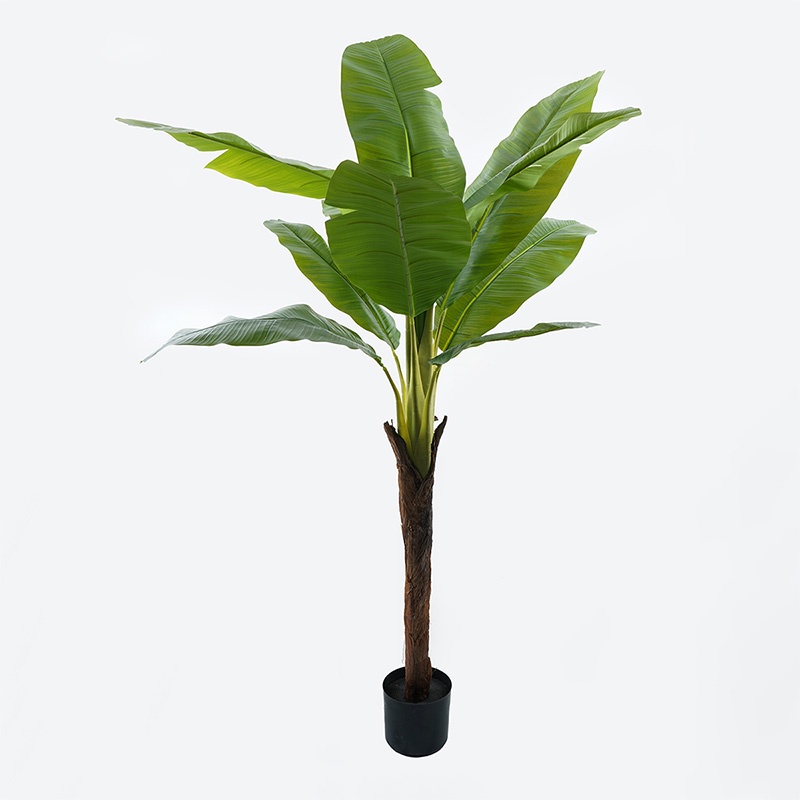 Planta decorativa cu ghiveci Musa Negru 105x105x180 cm