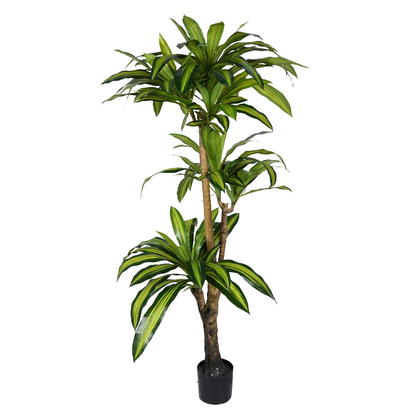 Planta decorativa Dracaena I in ghiveci verde plastic PP H170 cm