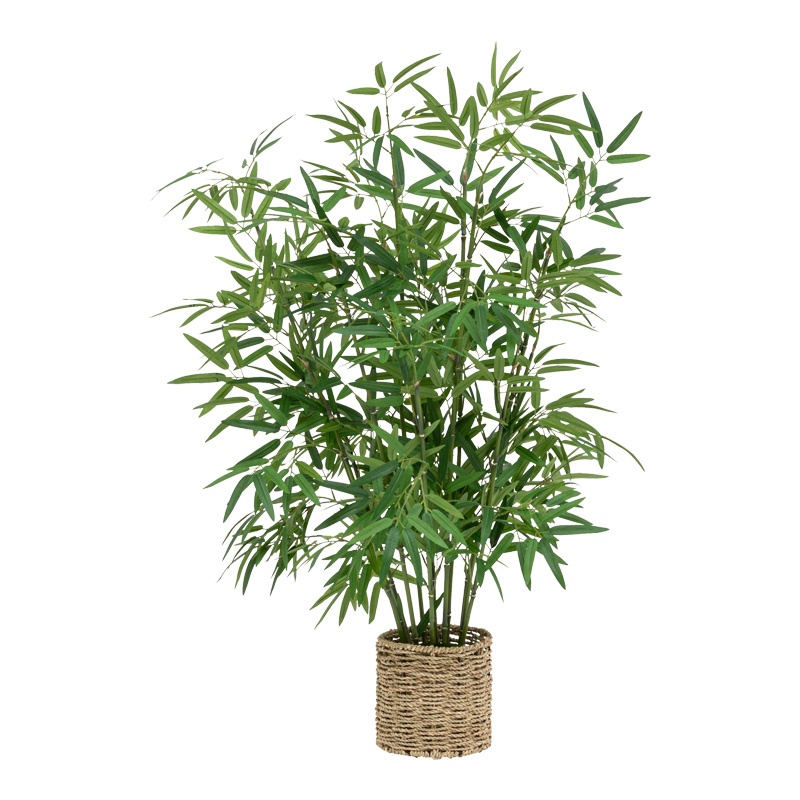 Planta in ghiveci, Pako World, Belica, 45x45x100 cm