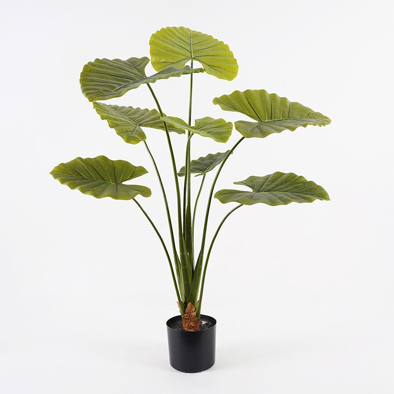 Planta decorativa cu ghiveci Alocasia Verde 90x90x120 cm