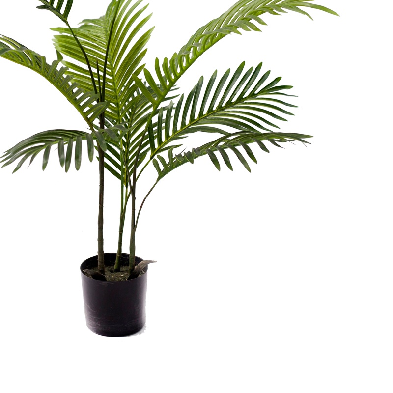 Planta decorativa de gradina Areca Pako World Negru 80x80x80 cm - 2 | YEO