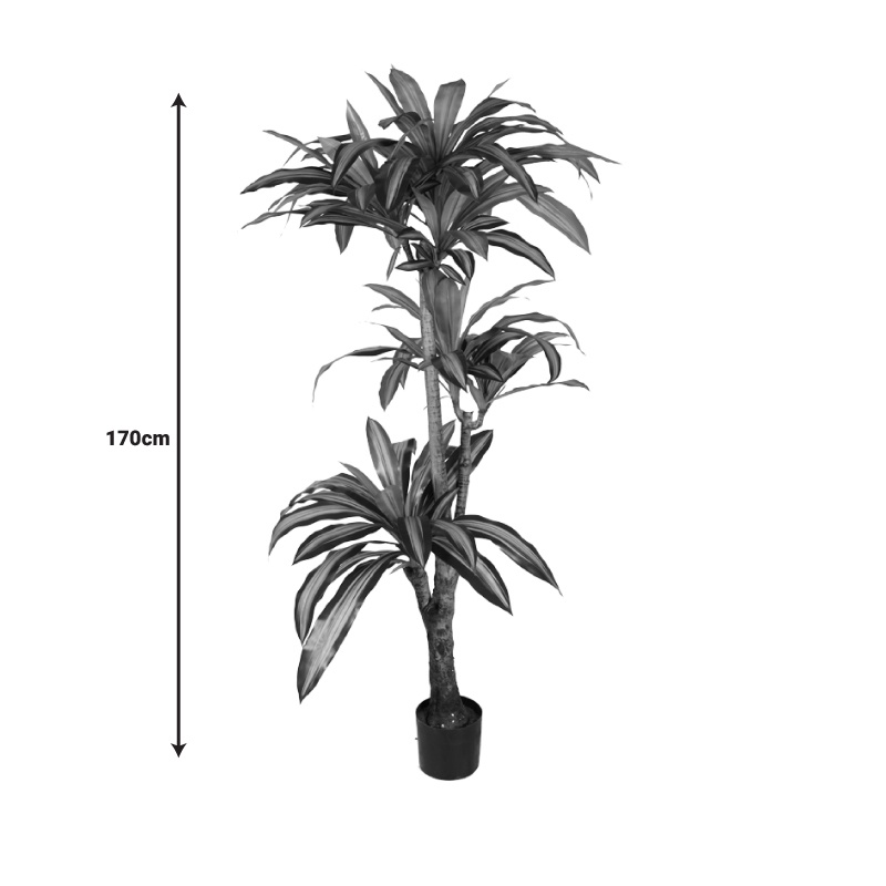 Planta decorativa Dracaena I in ghiveci verde plastic PP H170 cm