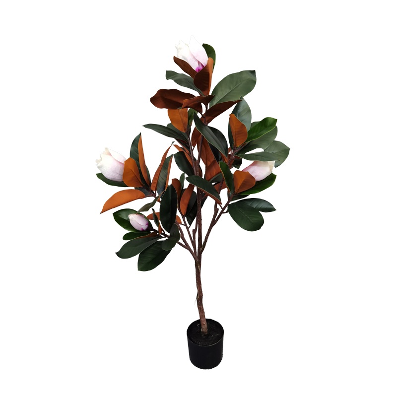 Planta decorativa Mangola in ghiveci roz 115 cm