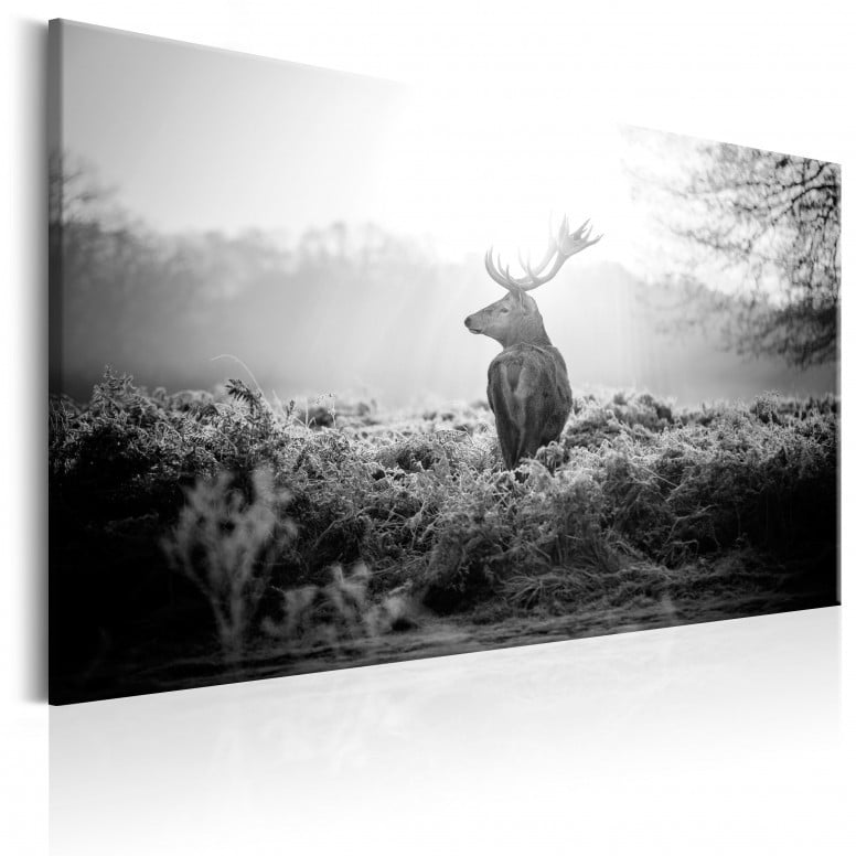 Tablou - Black and White Deer 120x80 cm