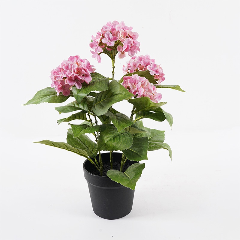 Planta decorativa cu ghiveci Hydrangea Galben pal 35x35x50 cm