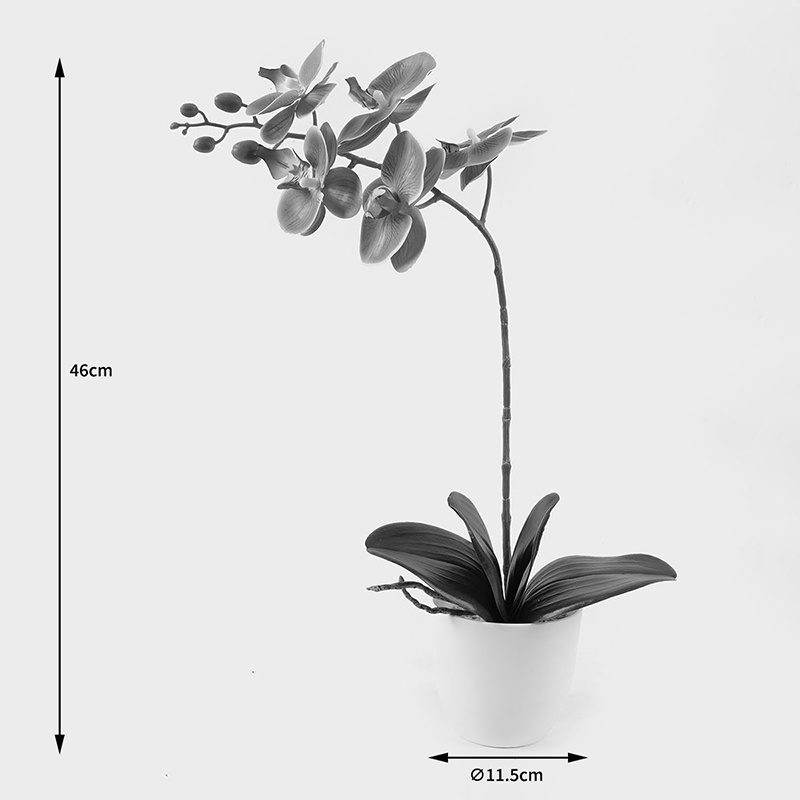 Planta decorativa cu ghiveci Orchid Mov 30x13x46 cm