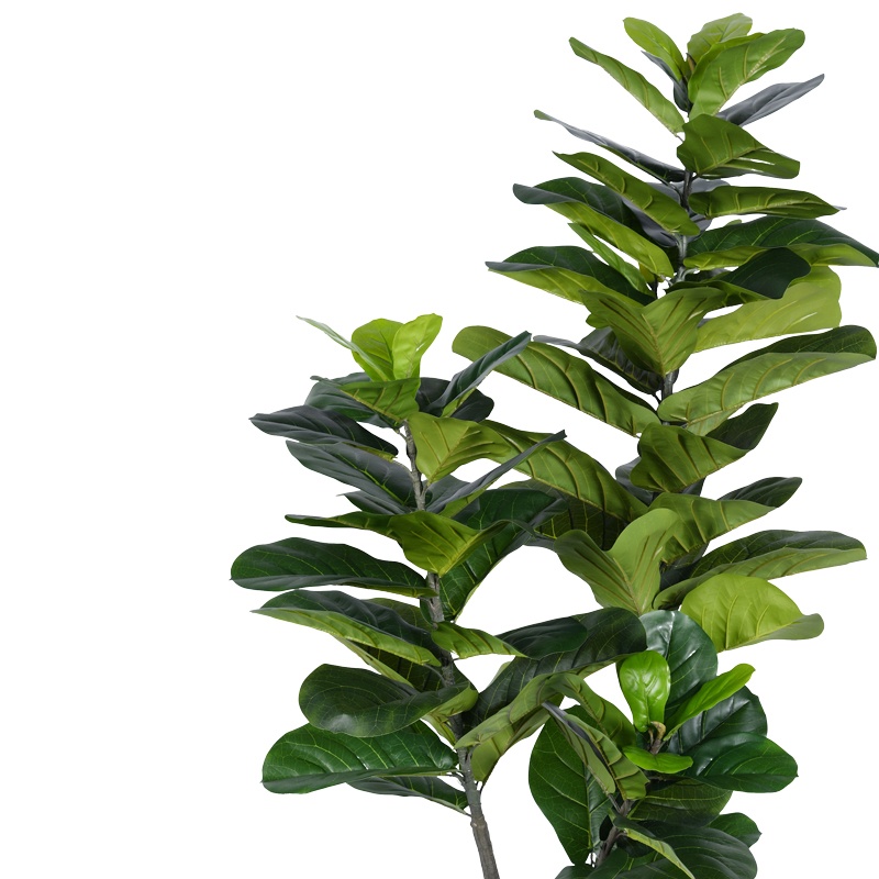 Planta decorativa Fiddlehead I Pako World Negru inaltime 180 cm - 1 | YEO