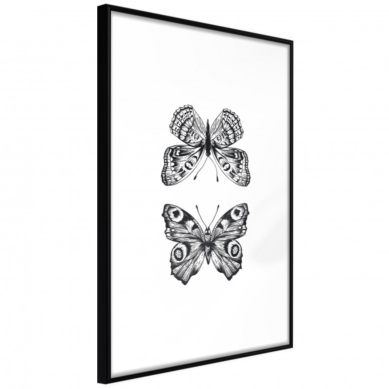 Poster - Butterfly Collection I, cu Ramă neagră, 30x45 cm