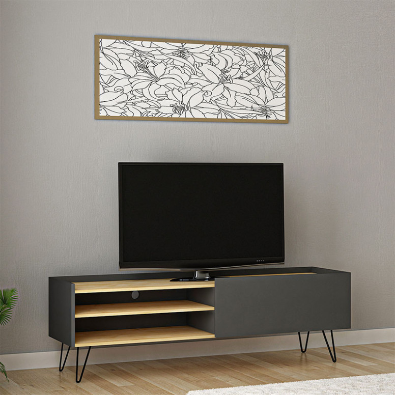 Comoda TV Veronica Alb-Oak 120x33x49.5 cm - 1 | YEO