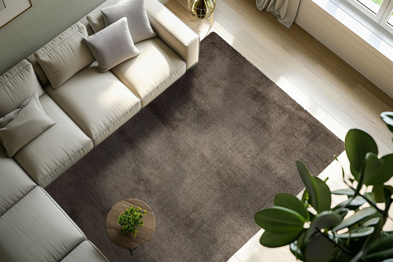 Covor Eternity Nuc 80x150 cm - 3 | YEO