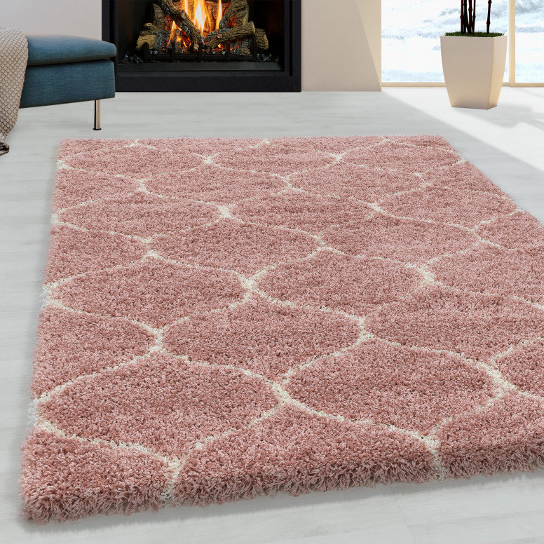 Covor Salsa Rose 120x170 cm