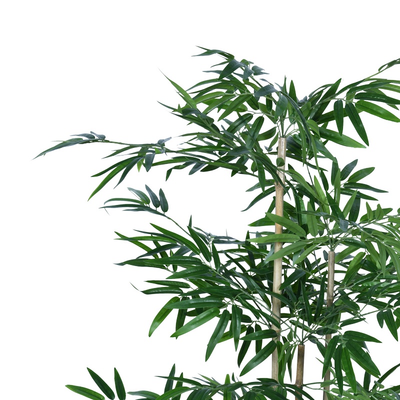 Planta decorativa Bamboo Pako World Negru inaltime 130 cm - 1 | YEO