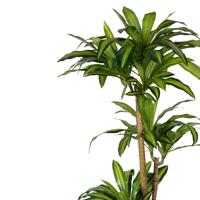 Planta decorativa Dracaena I in ghiveci verde plastic PP H170 cm - 1 | YEO