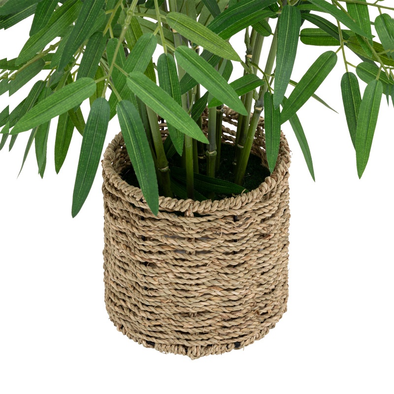 Planta in ghiveci, Pako World, Belica, 45x45x100 cm - 1 | YEO
