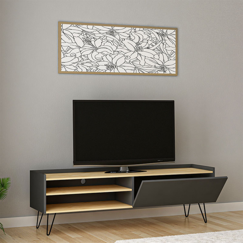 Comoda TV Veronica Alb-Oak 120x33x49.5 cm - 2 | YEO