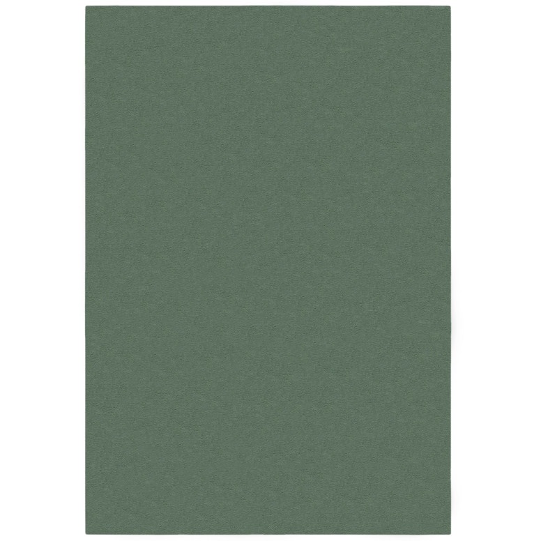 Covor Mellow Soft Verde 200X290 cm, Flair Rugs - 1 | YEO