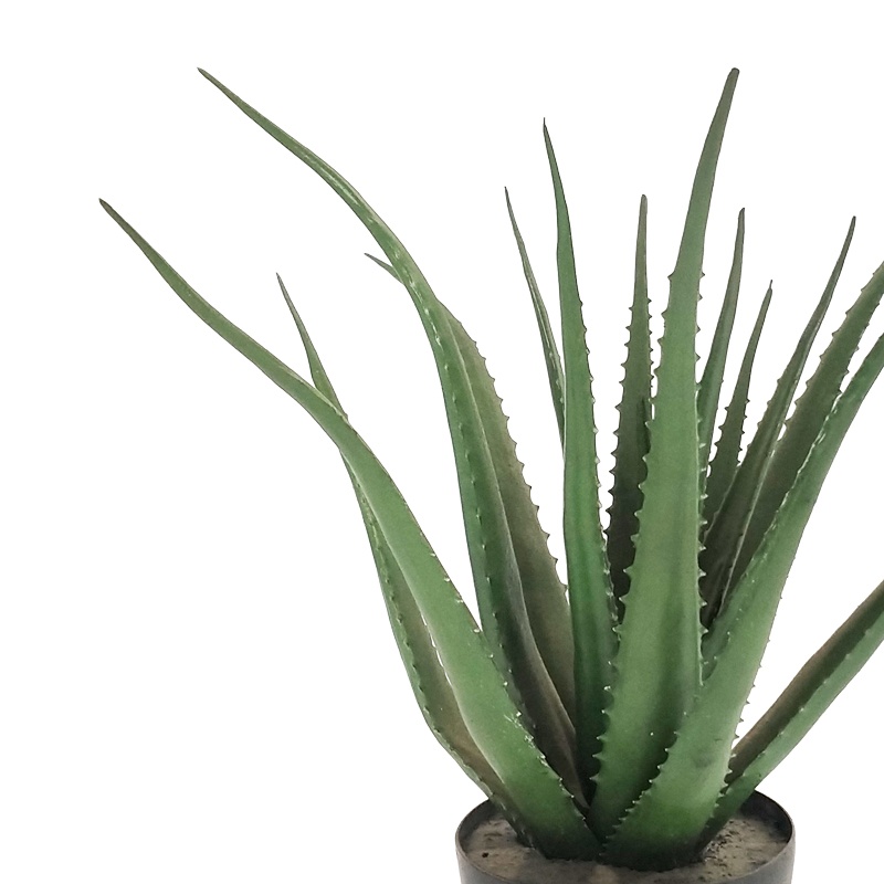 Planta decorativa Aloe in ghiveci verde 51 cm - 1 | YEO