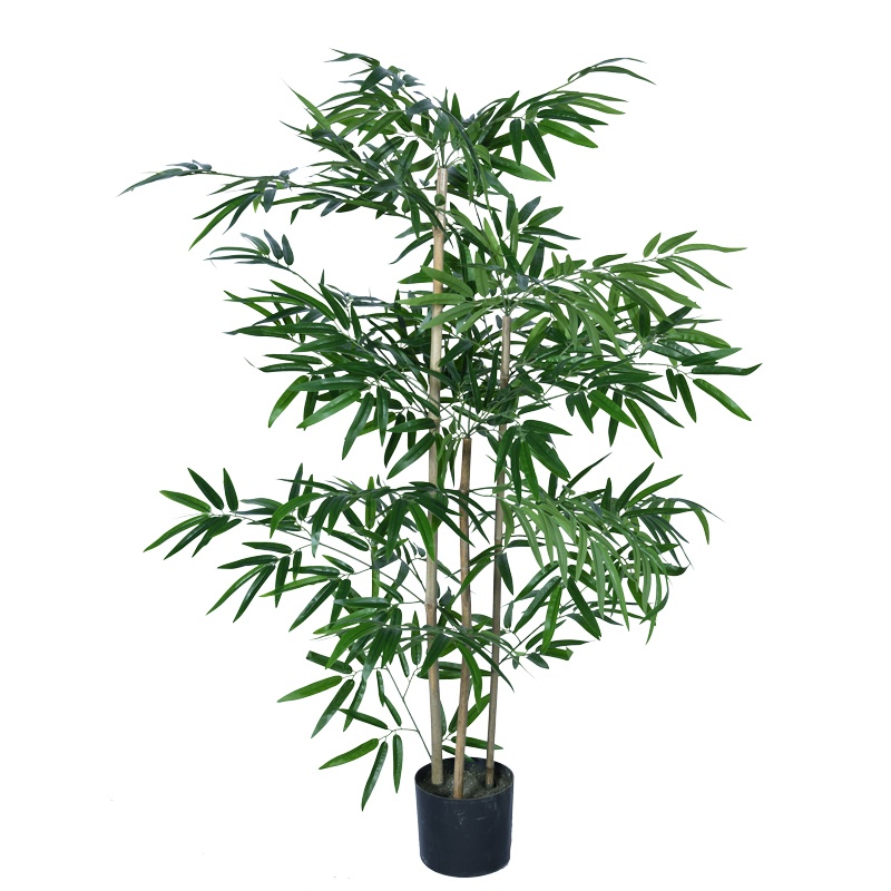 Planta decorativa Bamboo Pako World Negru inaltime 130 cm