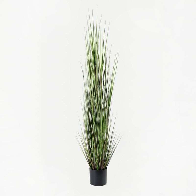 Planta decorativa Boxwood Negru 46x46x150 cm