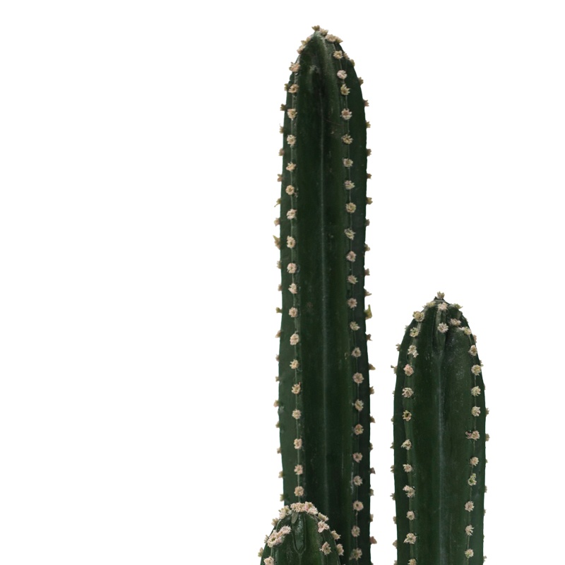 Planta decorativa Cactus III in ghiveci plastic PP verde 85 cm - 1 | YEO