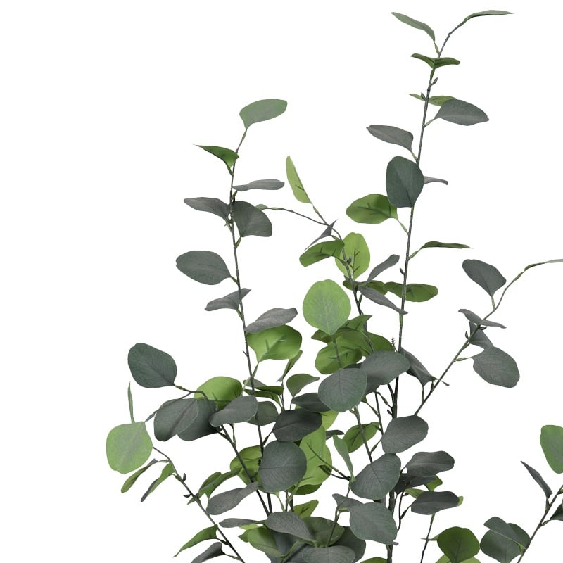 Planta decorativa Eucalyptus in ghiveci verde plastic PP inaltime 120 cm - 1 | YEO