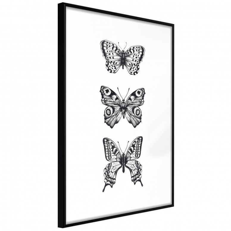 Poster - Butterfly Collection III, cu Ramă neagră, 40x60 cm