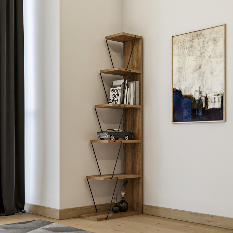 Biblioteca Tlos Pine-Negru