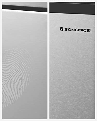 Cos de gunoi, Songmics, Argintiu-Negru, 39.5x30.5x48 cm