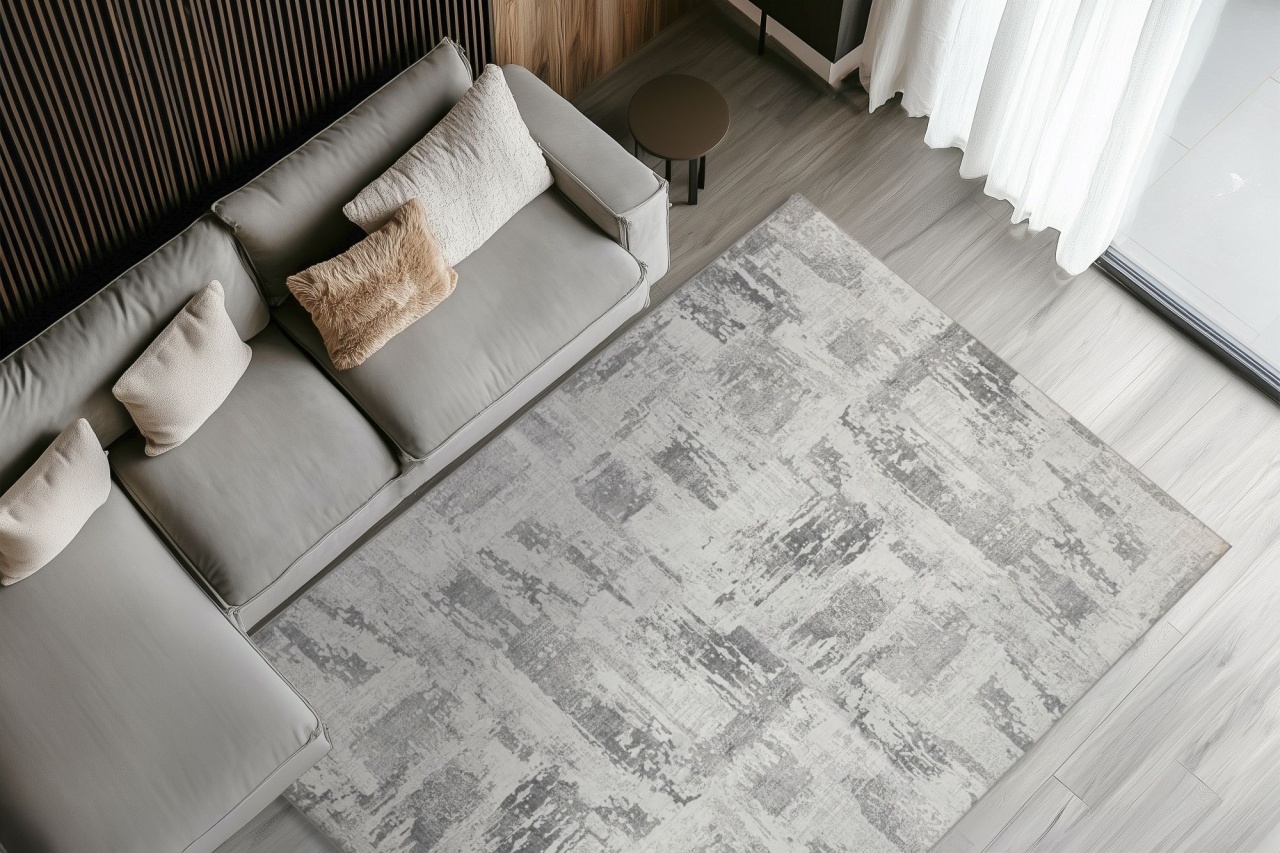 Covor Avantgarde Gri 200x290 cm - 3 | YEO