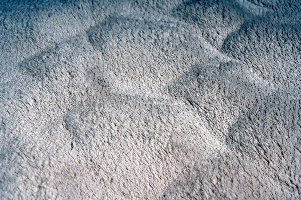 Covor rotund Diamond Cut Crem 120x120 cm - 4 | YEO