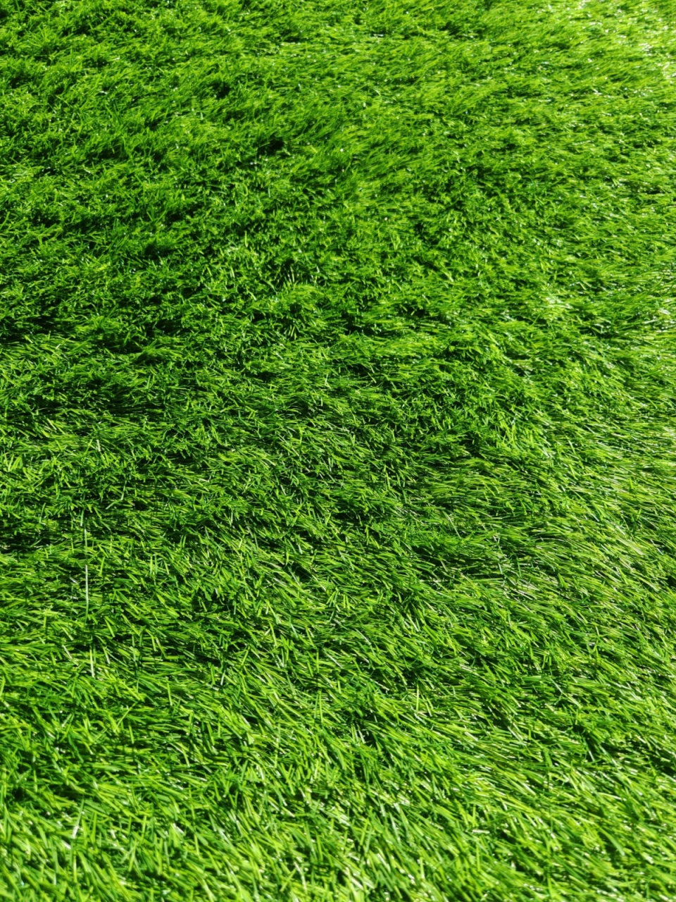 Gazon Artificial, Sri Lanka, Verde, 100x2300 cm, Delta Sri Lanka 30 mm