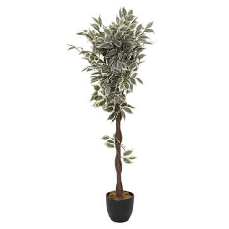 Planta artificiala in ghiveci Green 19 20849 Verde/Negru D50x120cm