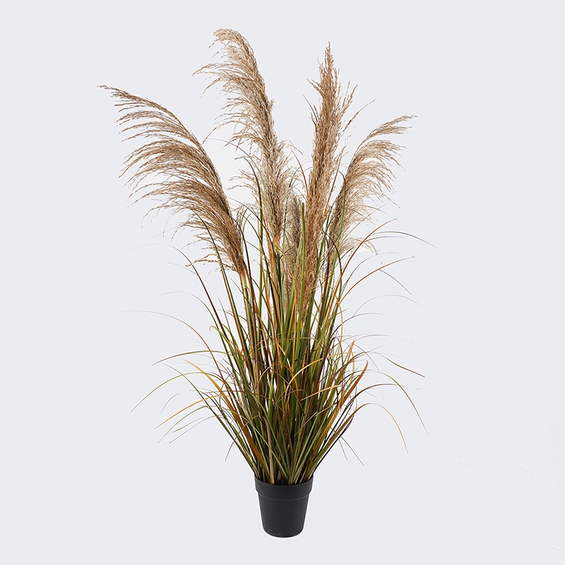 Planta decorativa cu ghiveci Bulrush Verde 65x65x120 cm