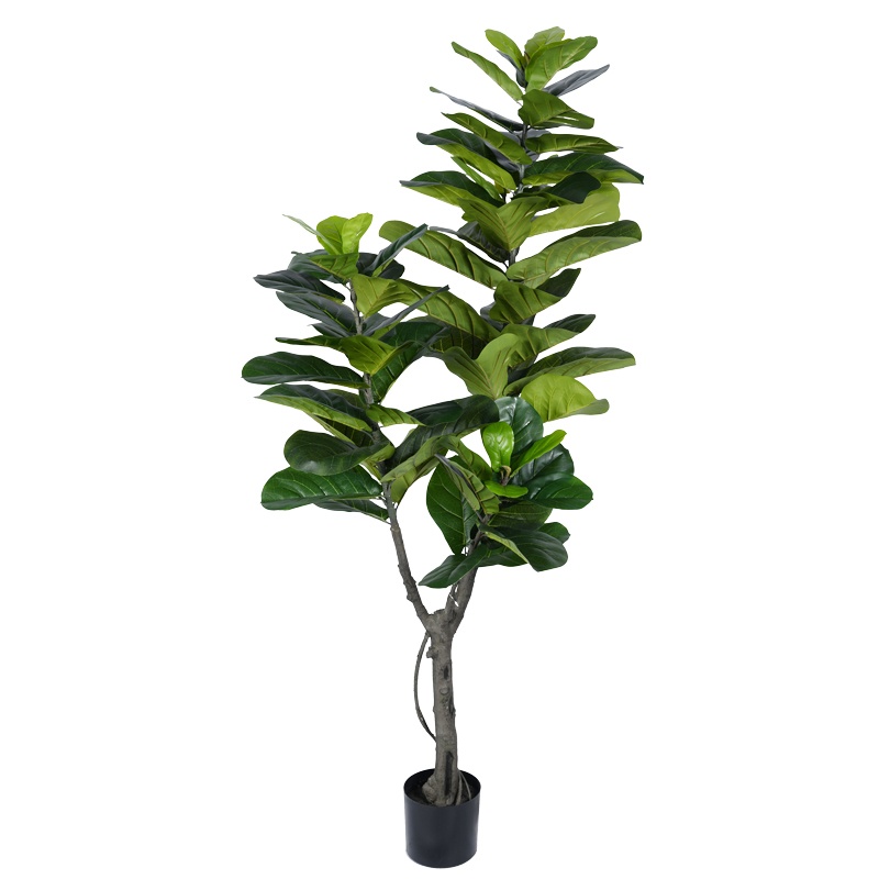 Planta decorativa Fiddlehead I Pako World Negru inaltime 180 cm