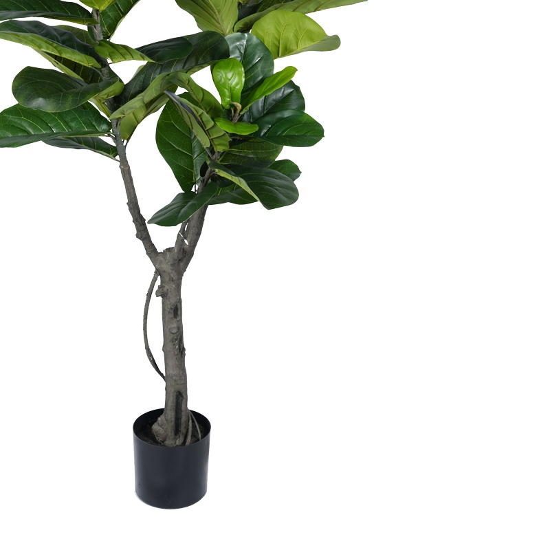 Planta decorativa Fiddlehead I Pako World Negru inaltime 180 cm - 2 | YEO